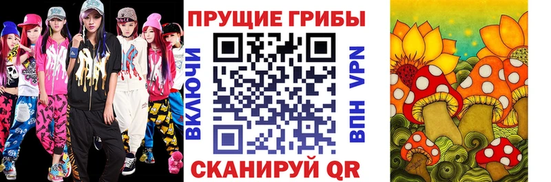 Псилоцибиновые грибы Psilocybe  Купить где  Олёкминск 